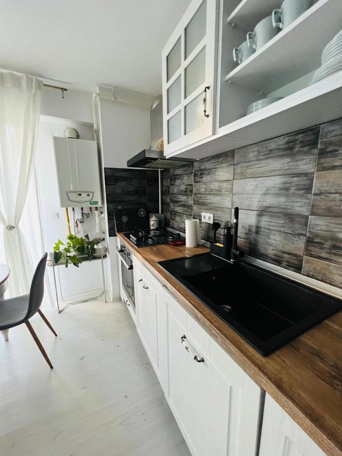 The Airport Loft Apartment Otopeni Ngoại thất bức ảnh