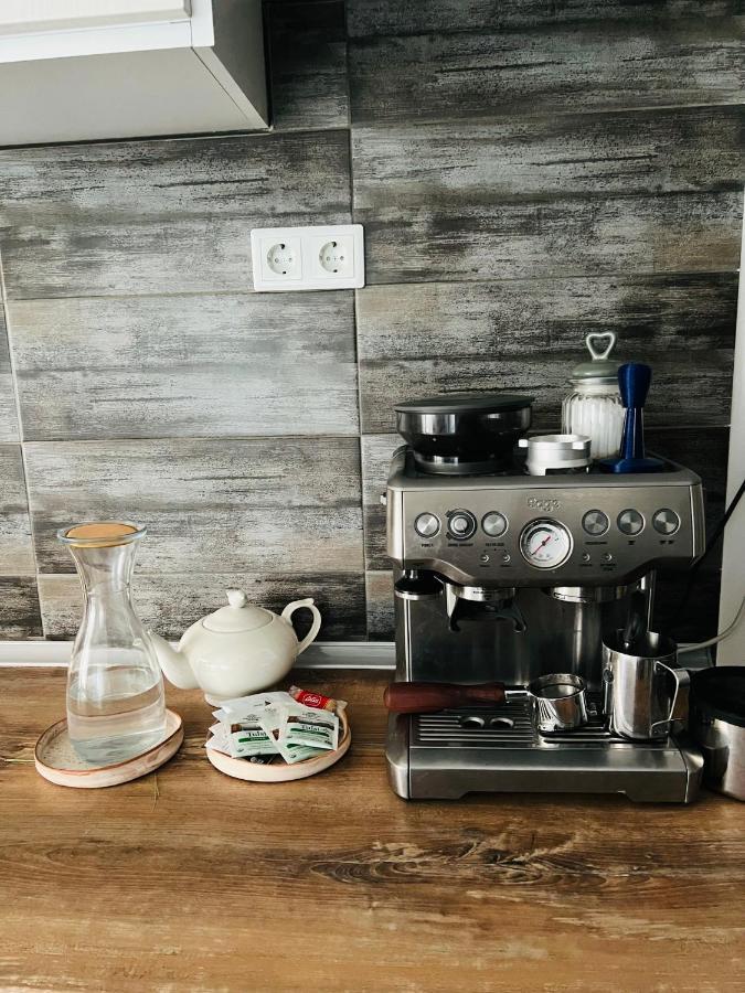 The Airport Loft Apartment Otopeni Ngoại thất bức ảnh