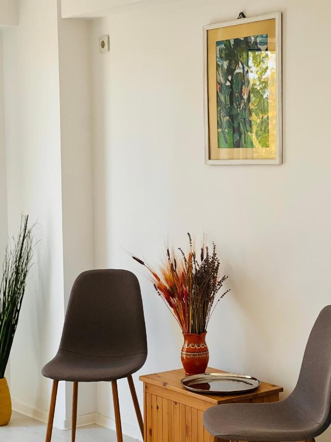 The Airport Loft Apartment Otopeni Ngoại thất bức ảnh