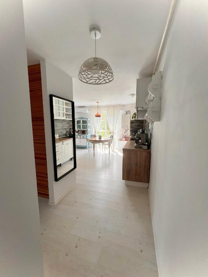 The Airport Loft Apartment Otopeni Ngoại thất bức ảnh