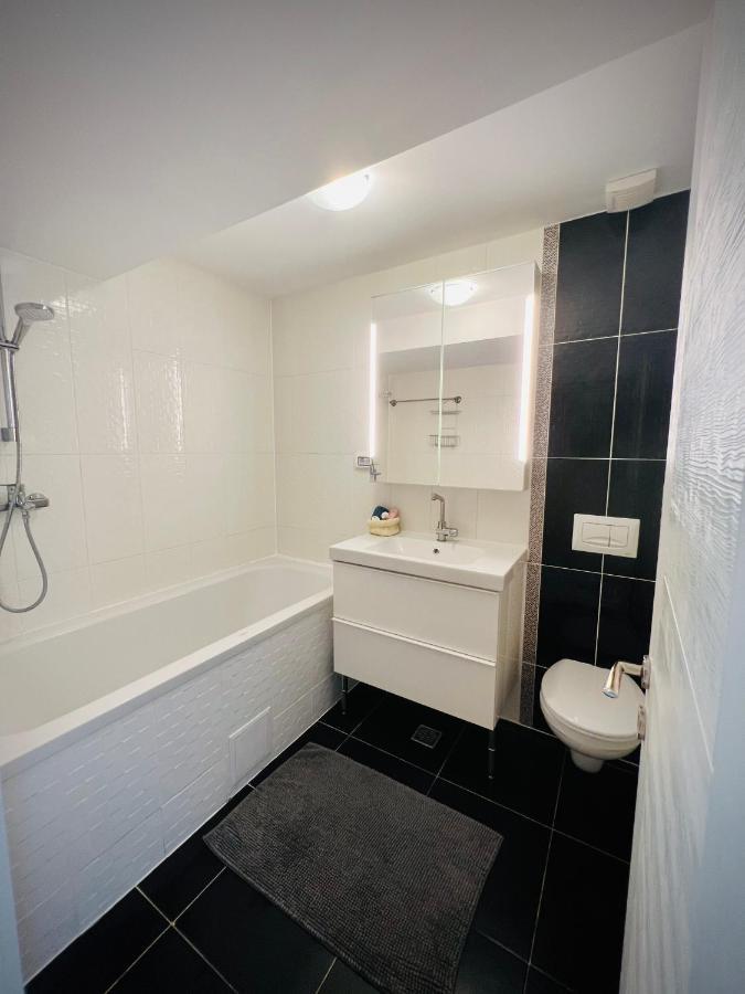 The Airport Loft Apartment Otopeni Ngoại thất bức ảnh